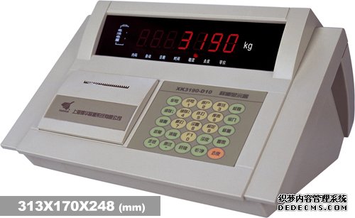  耀華XK3190—D10稱重儀表